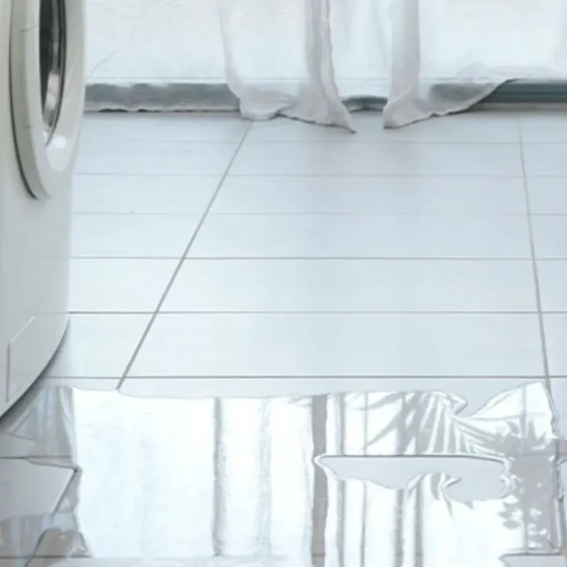Appliance Leak Cleanup in Fremont, NH