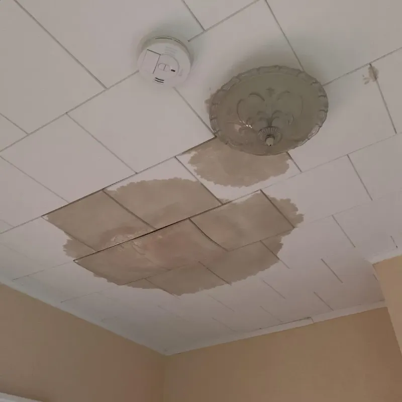 Ceiling Water Damage Repair in Fremont, NH