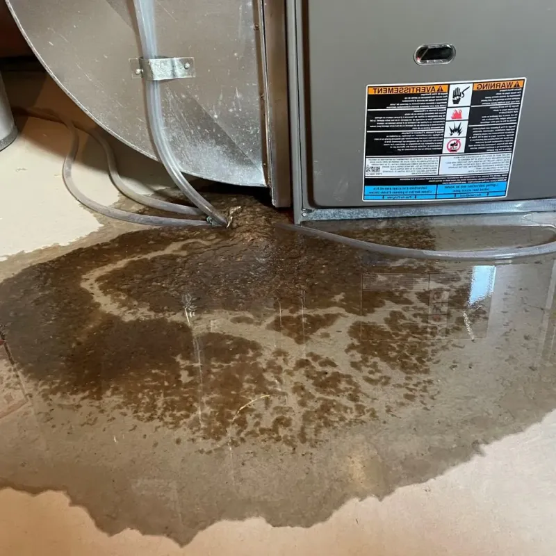Pipe Burst and Leak Restoration in Fremont, NH